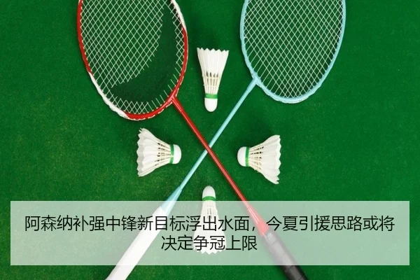 阿森纳补强中锋新目标浮出水面，今夏引援思路或将决定争冠上限（ZHCW）